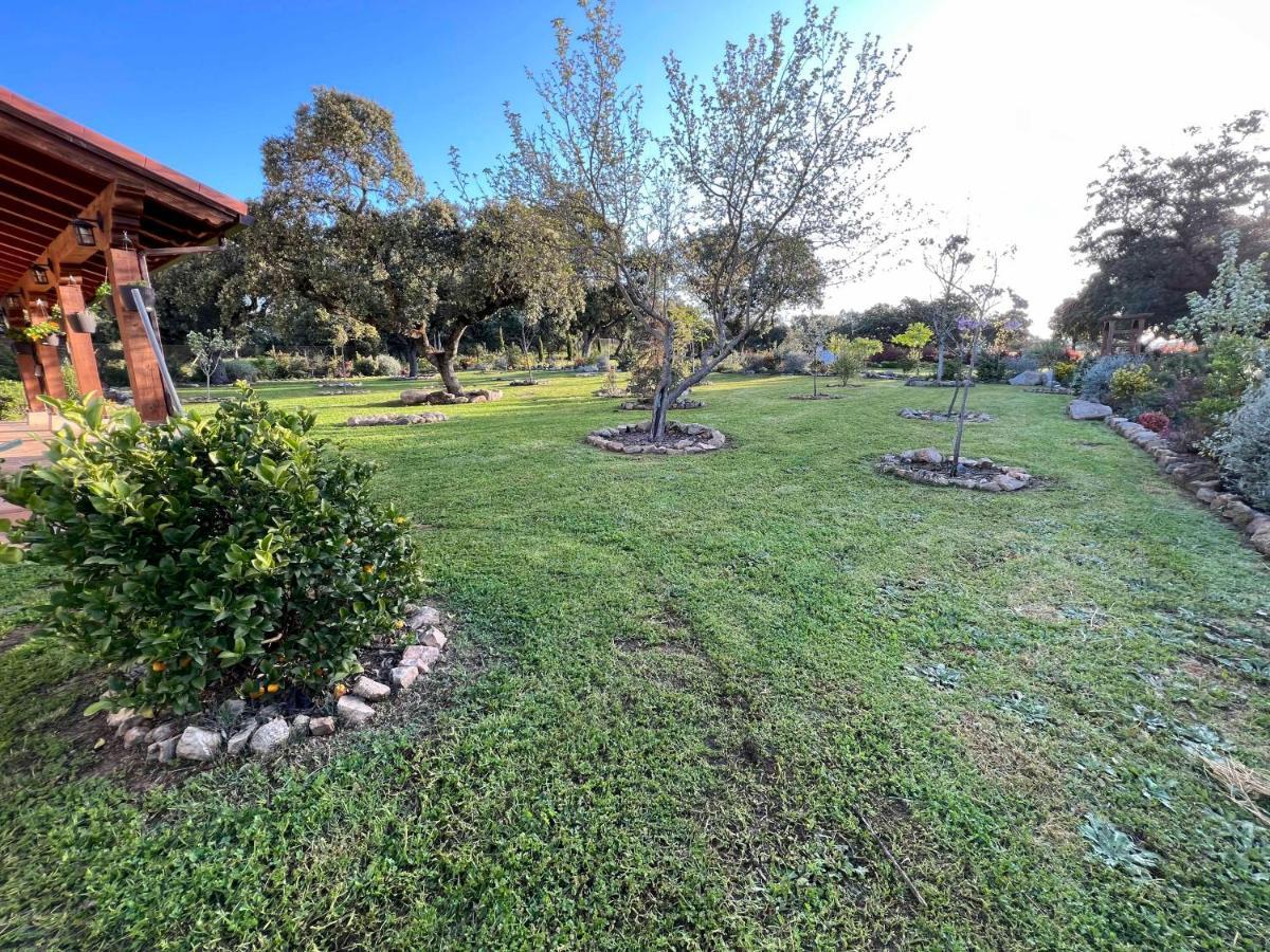 Villa La Encina Guapa Casa Rural 20,000M2 De Intimidad à La Iglesuela Extérieur photo